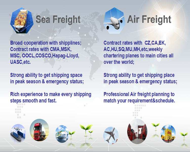 Air Freight/Ocean Freight/ Railway Freight From China to Russia