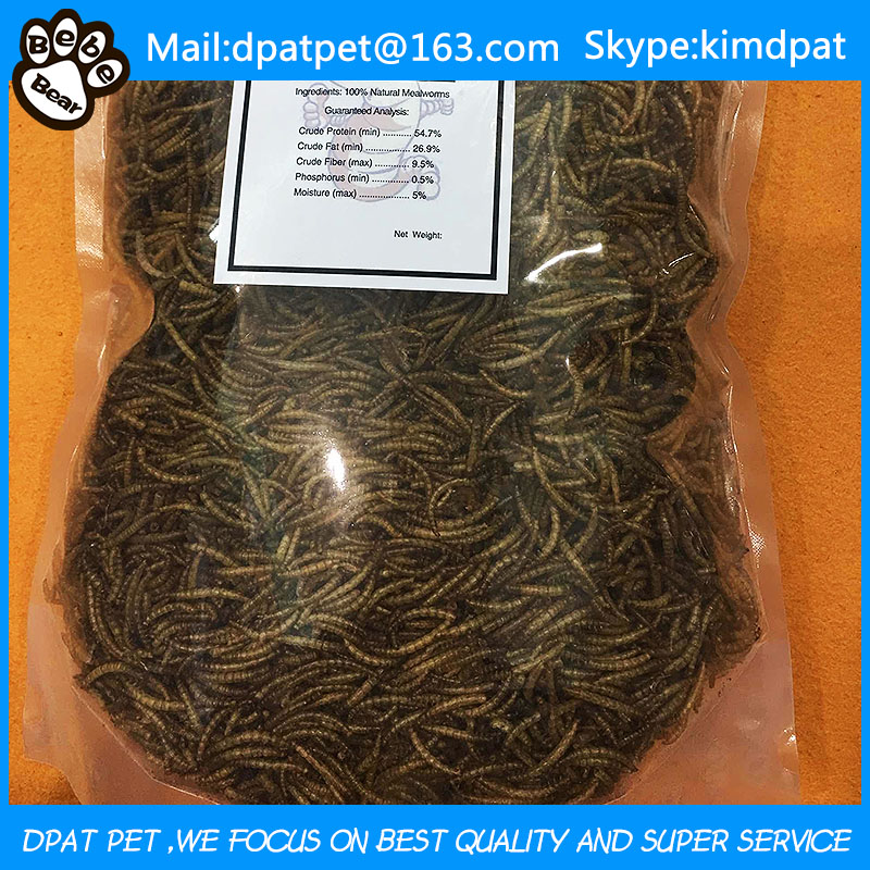 Dried Mealworm for Bird Feed Chicken Reptile Food