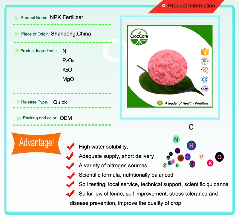 Customized 47% Fertilizer NPK 19-9-19 100 Water Soluble NPK