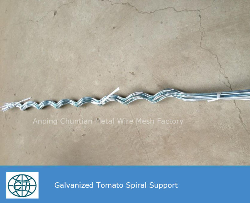 Galvanized Tomato Spiral Support for Planting Climp