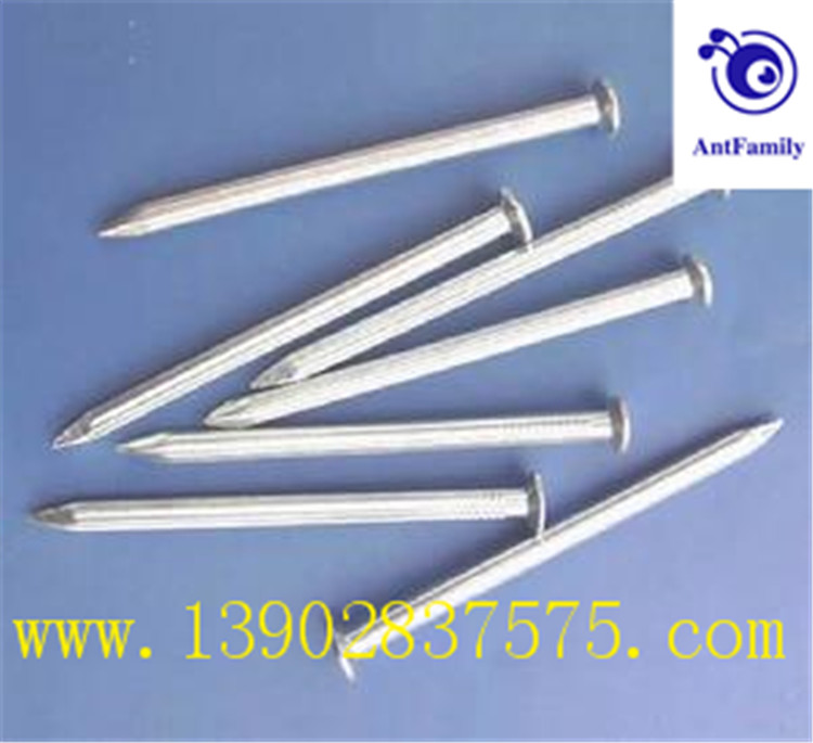 common nail, iron nail, common wire nail