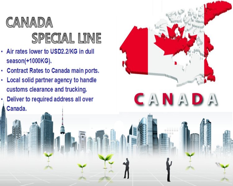 Shenzhen Professional Air/Ocean Freight Forwarding to Canada