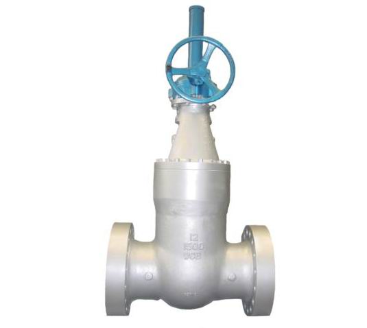 Stainless Steel Pressure Seal Gate Valve