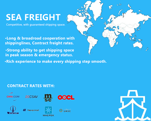 Shanghai Ocean Freight to Abu Dhabi