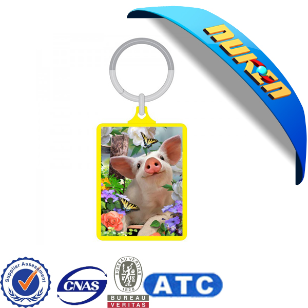 3D Lenticular Picture Advertising Acrylic Keychain