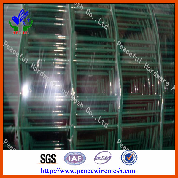 PVC Coated Welded Euro Panel Fence/Welded Wire Fence (HP-HLW03)