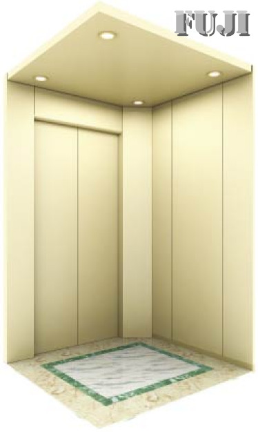 Villa Elevator / Lift Wiht White Colour