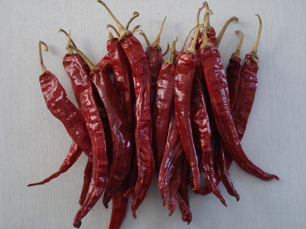 New Crop 2000-3000 Shu Red Chili