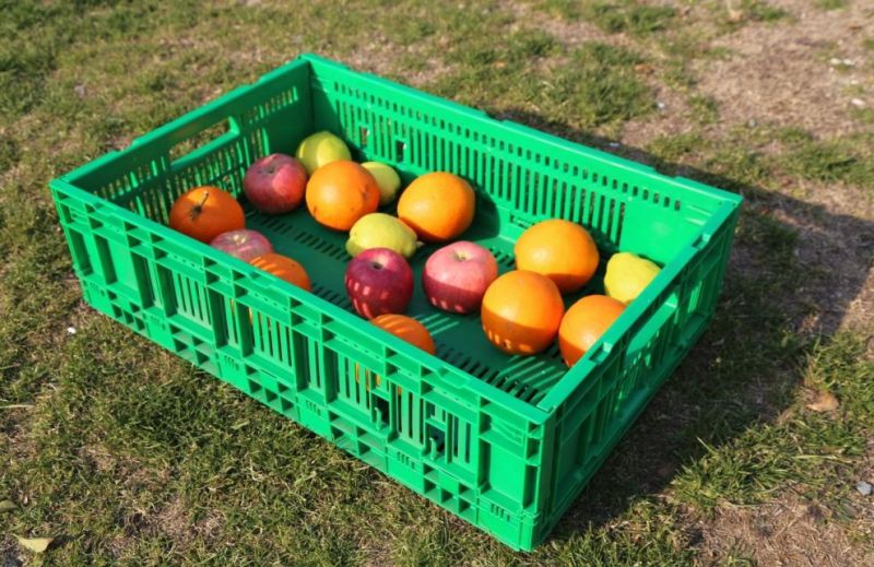 Plastic Foldable Fruit and Vegetable Crates