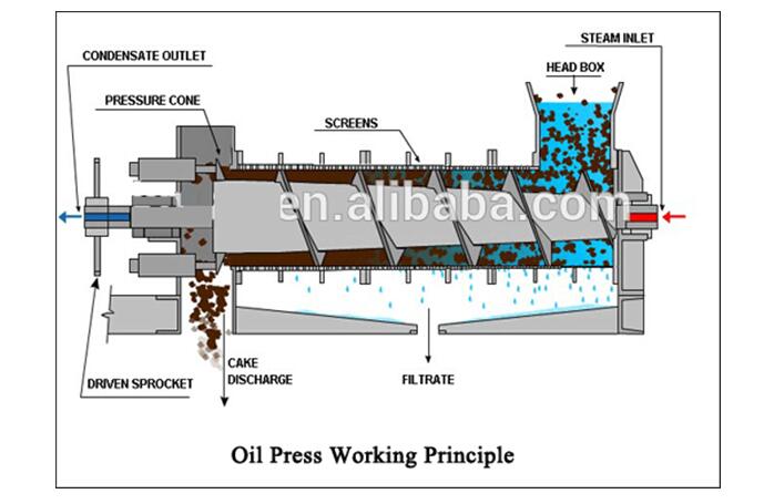 Screw Oil Press Spiral Oil Press Machine (YZYX140-8)