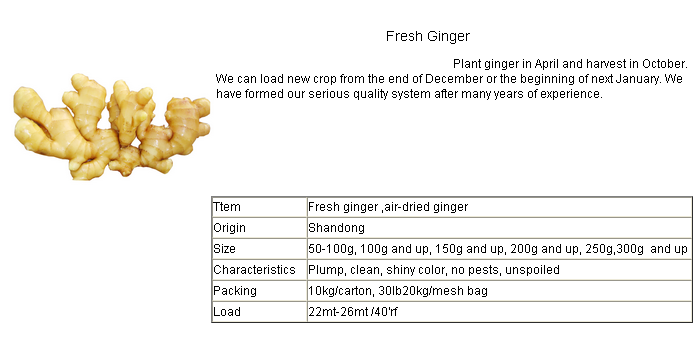 New Crop Vegetable Dry Ginger