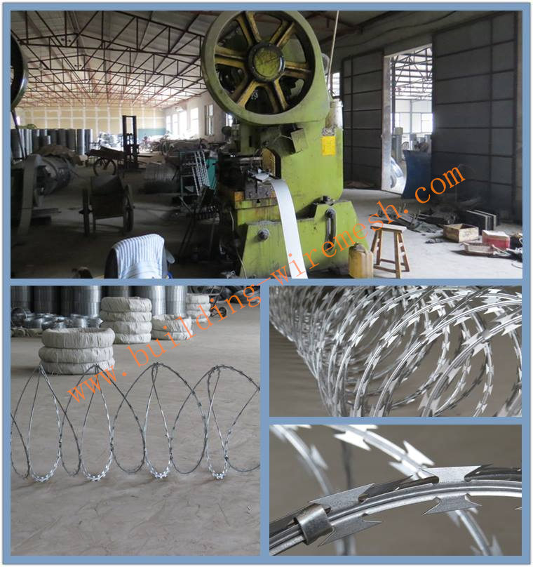 China Factory Concertina Razor Wire, Razor Wire Fencing, Razor Barbed Wire