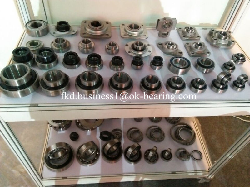 Ball Bearing Roller Bearing Auto Bearing and All Kinds of Stainless Steel Bearing