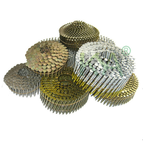 Galvanized Pneumatic Screw Shank Pallet Coil Nails