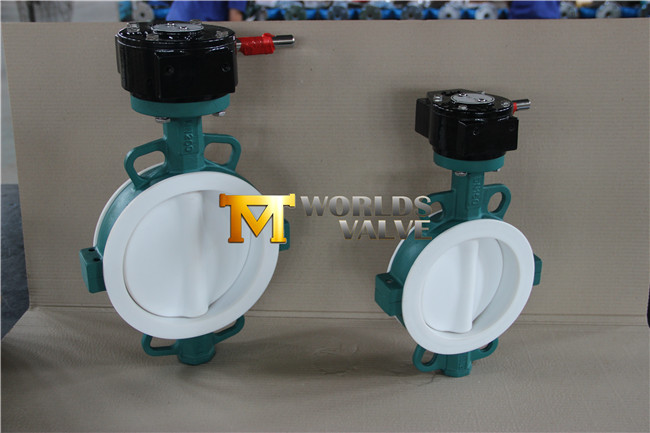 Full PTFE Lining Wafer Type Butterfly Valve with Ce ISO Wras Approved (CBF04-TA01)