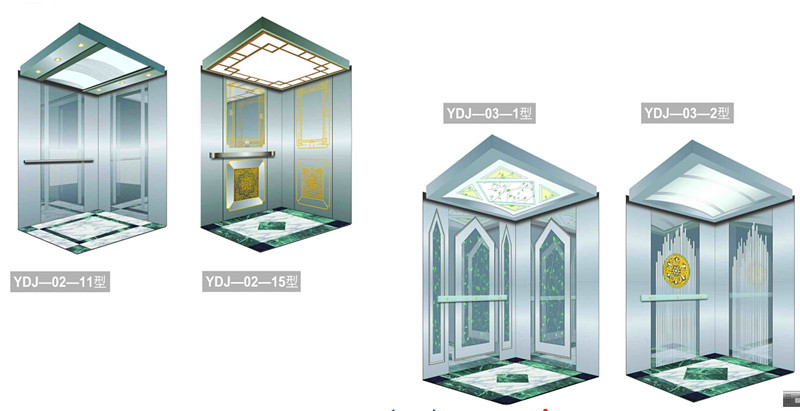 Passenger Elevator with Mirror Etched Stainless Steel (JQ-B025)