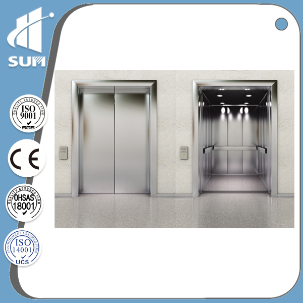 Hydraulic Home Lift of Etching Mirror Stainless Steel