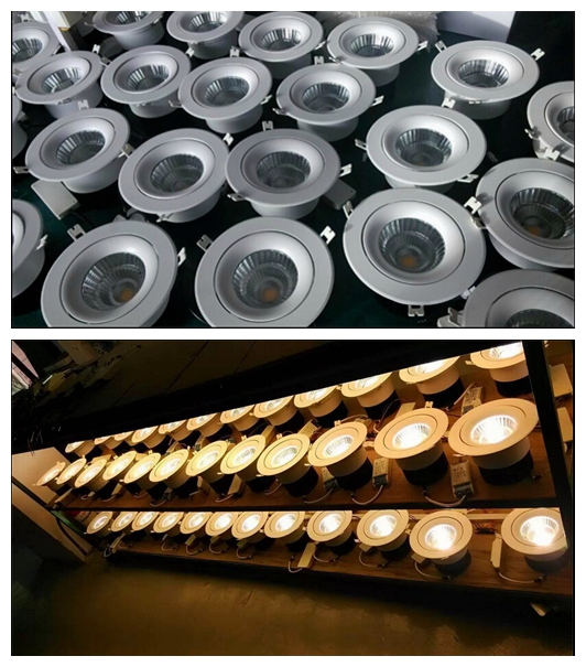 CRI90+ COB Triac/0-10V/Dali Dimmable LED Downlight