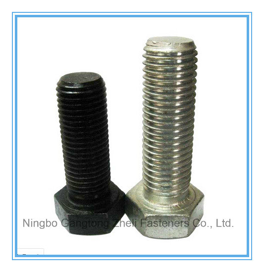 M4-M64 of Hex Bolts with Stainless Steel