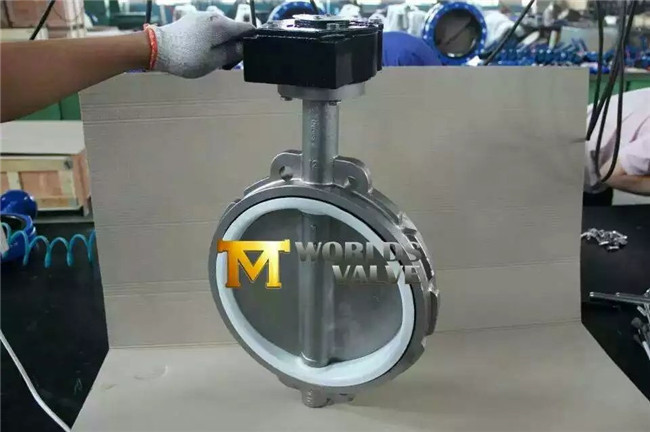 Dds Stainless Steel Wafer Butterfly Valve with Pin