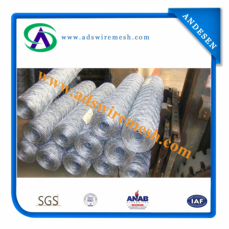 Galvanized /PVC Coated Hexagonal Wire Netting