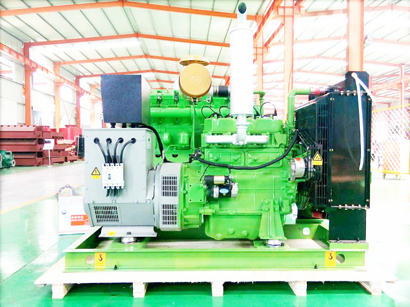 50kw Ce ISO Certified Electricity Power Biogas Generator Set