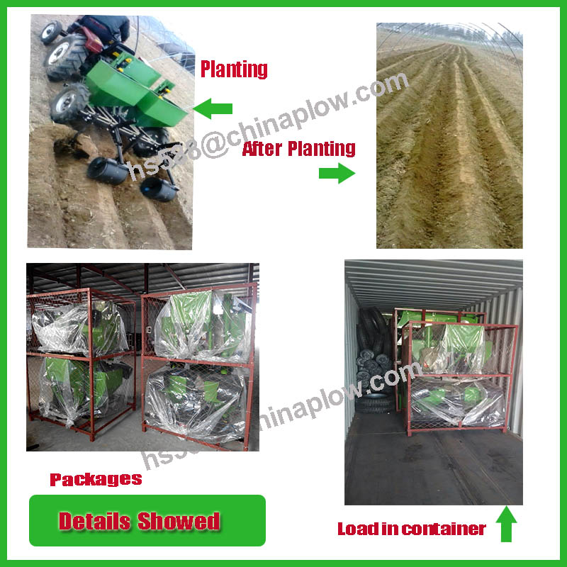 Tractor Mounted Double Rows Sweet Potato Planter with Rubber Tyres