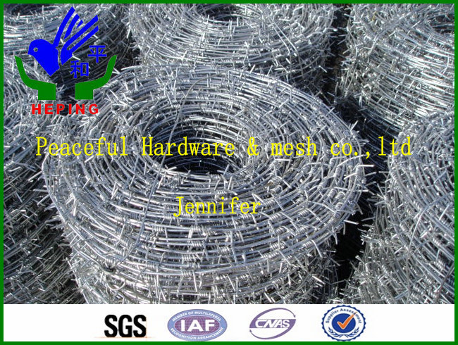 Barbed Wire /Razor Barbed Wire (HPZS-1001)