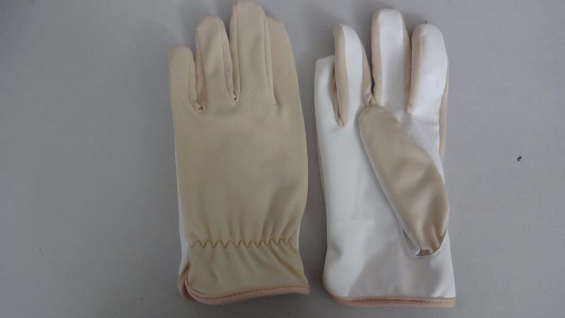 PU Glove-Electronic Gloves-Cheap Glove-Safety Glove-Working Glove-Industrial Glove