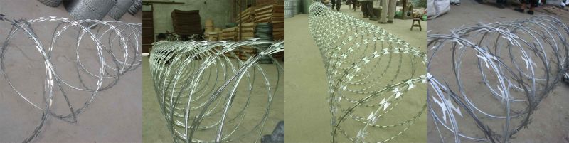 Hot-Dipped Galvanized Razor Wire