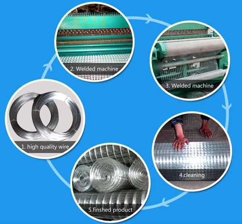 Electro Galvanized Weaving Wire Mesh with SGS for Building Material