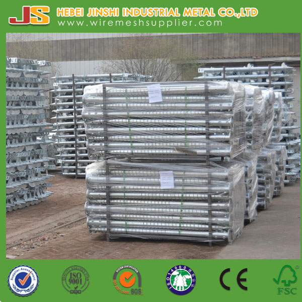 Galvanized Ground Screw Pole Anchor for Solar Power Installation