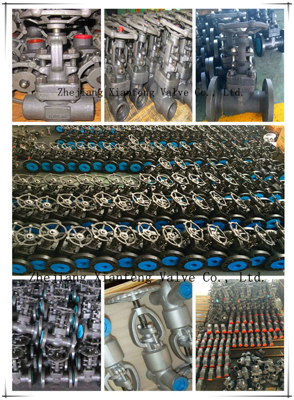 API602 Forged Carbon Steel A105 Thread End NPT Gate Valve