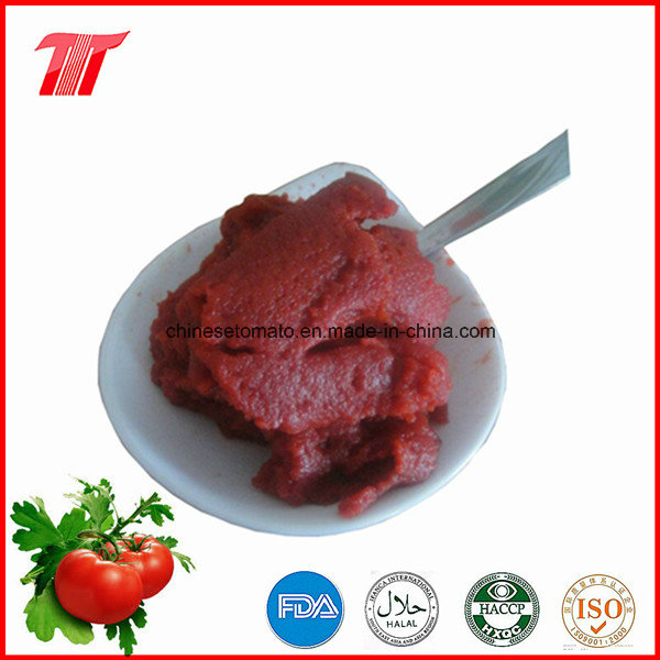 830g Canned Tomato Paste of Tmt Brand of High Quality