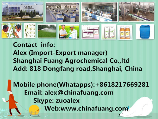 Agricultural Chemicals Inciticide Pesticide 20% Ethoprophos