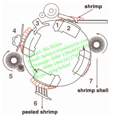 New Style Shrimp Peeling Machine for Hotel Restaurant