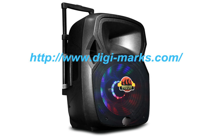 Popular Professional Stage PRO Audio Portable Speaker for Concert