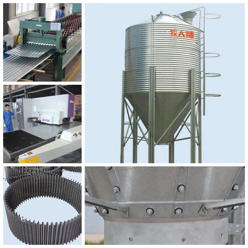 Steel Structure Poultry Farm and Full Set Poultry Equipment