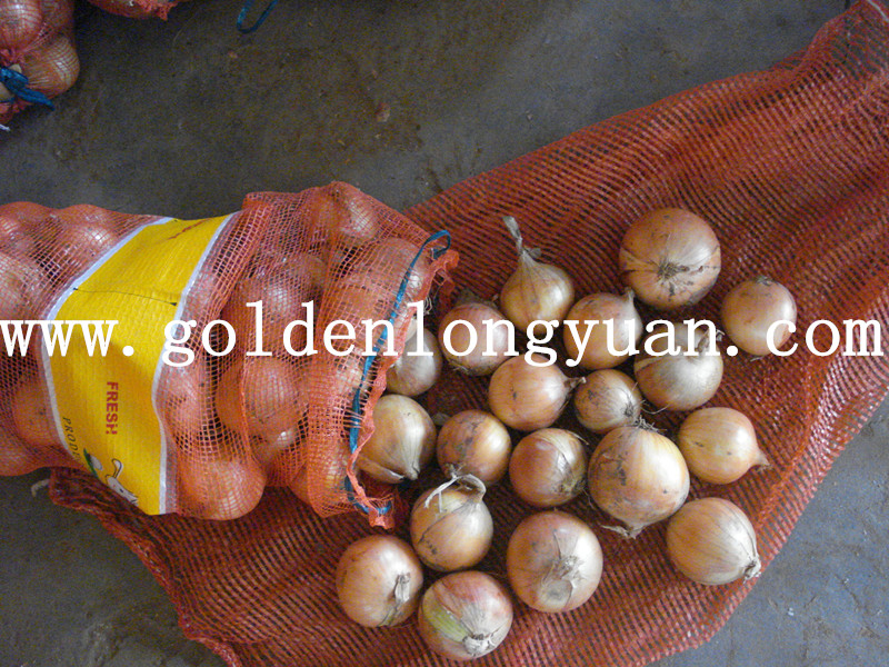 Yellow Onion From China