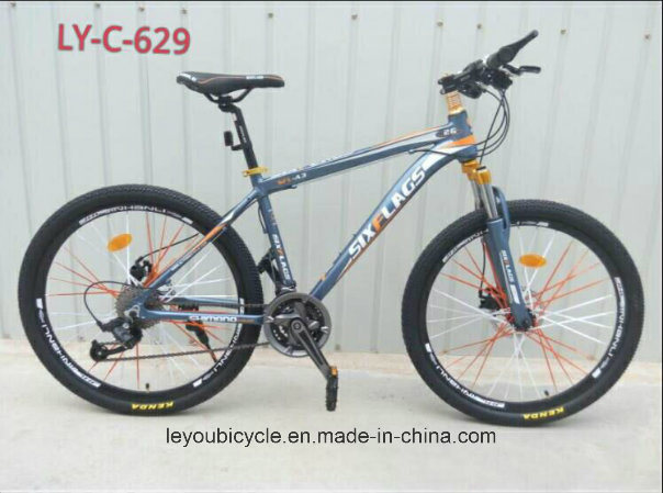 (LY-C-629) Fat Bike with New Design