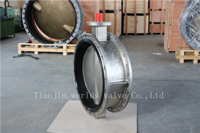 Stainless Steel Bare Shaft Double Flanged Butterfly Valve (CBF01-TF01)