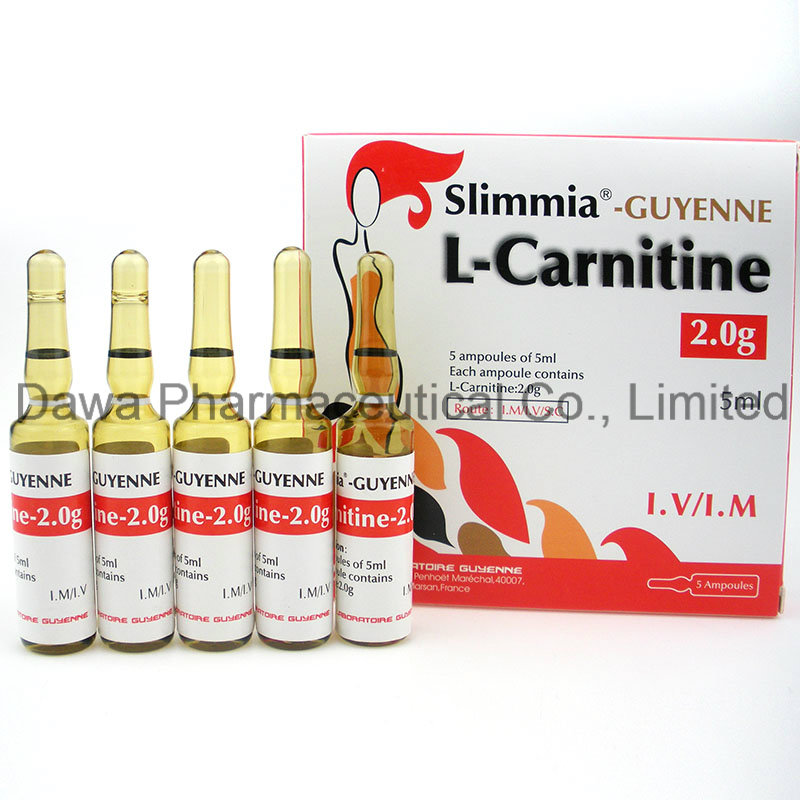 Ready Stock Loss Weight Body Slimming L-Carnitine Injection 2.0g