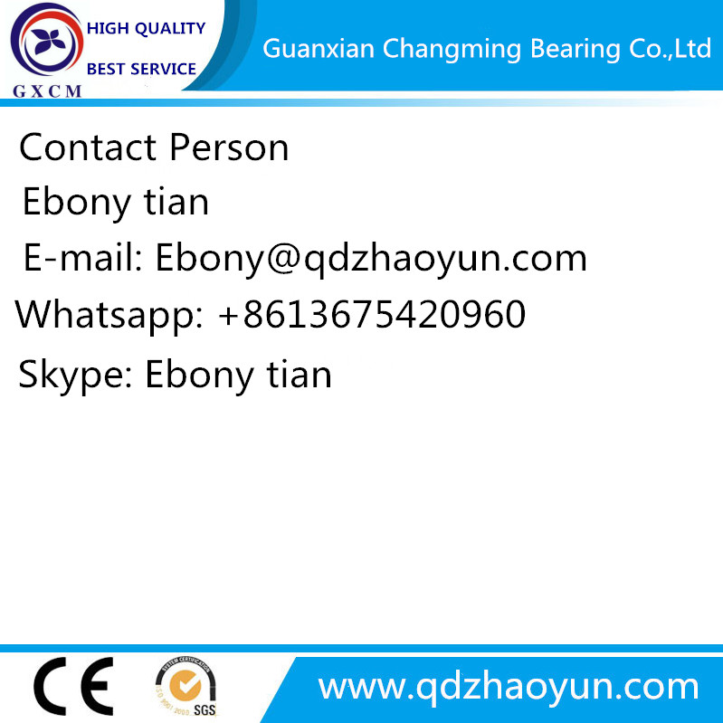 Axial Load Thrust Ball Bearing 51202 for Diamond Detector