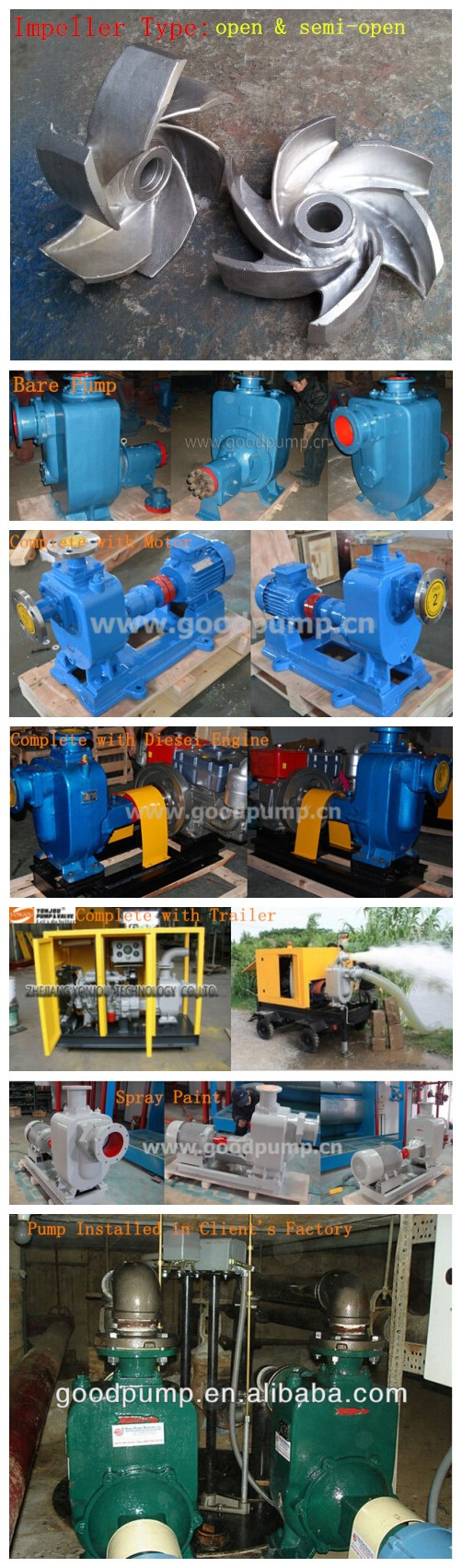 Zw Non-Clogging Horizontal Self-Priming Diesel Water Pump