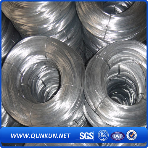 Bwg14 Electro Galvanized Wire (Factory)