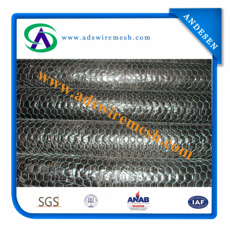 Hexagonal Wire Mesh/Chicken Wire Mesh/Galvanized Hexagonal Wire Netting