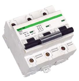 Dz47-100 (NC100H) Mini Circuit Breaker MCB