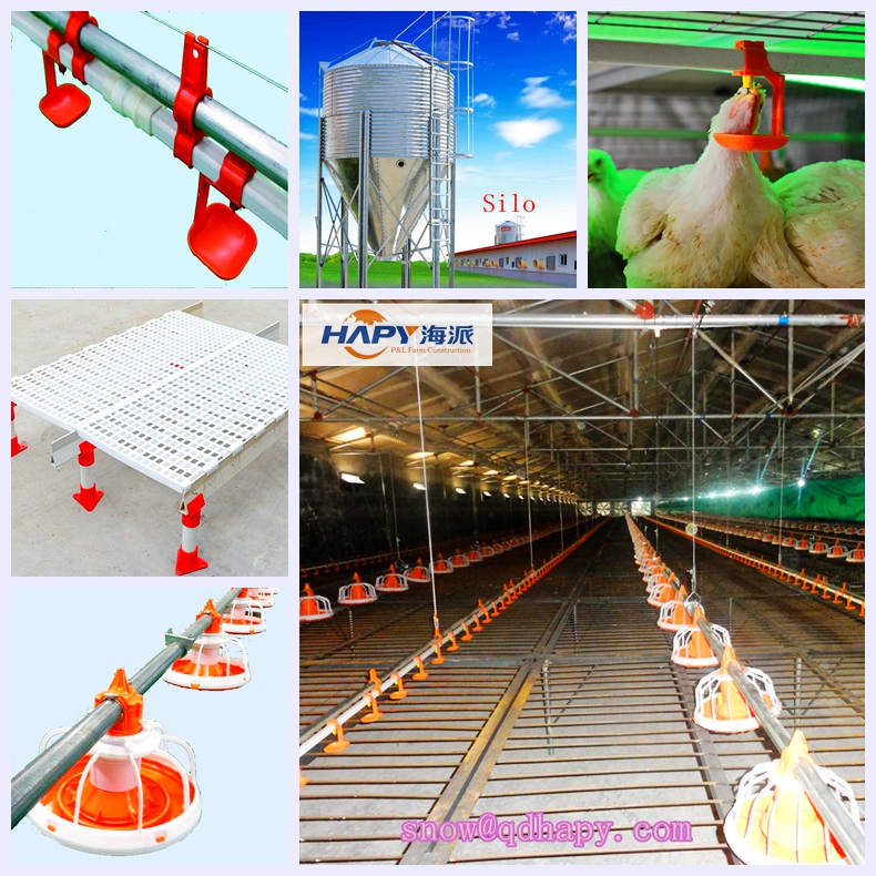 Customized Automatic Equipment with Steel Frame Structure in Poultry Shed