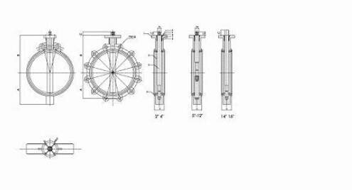 Cast Iron Lug Type Butterfly Valve