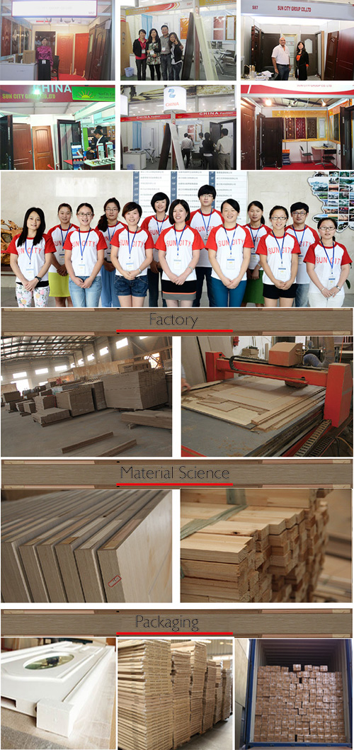 Economic Safety Wooden MDF Interior Wooden Door (SC-W050)